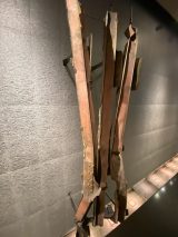 Spring Trip 03/20/24 (141/194)